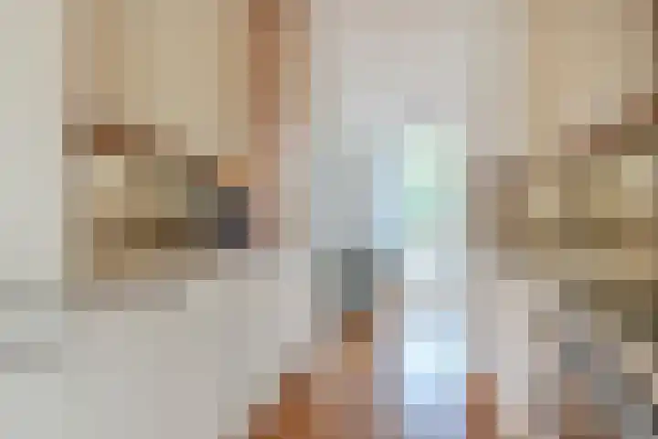 Laan van Tolkien 154 Geldrop thumbnail 16