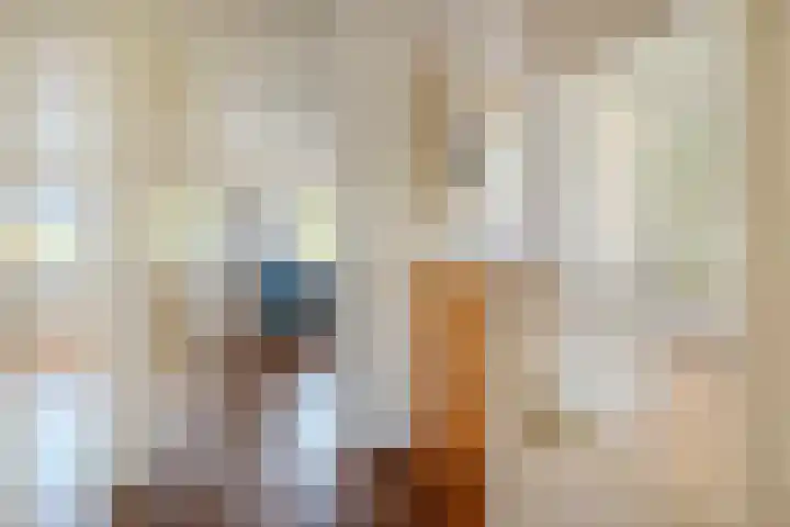 Laan van Tolkien 154 Geldrop thumbnail 18