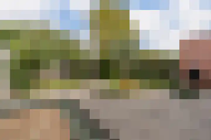 Laan van Tolkien 154 Geldrop thumbnail 30