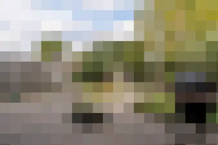 Laan van Tolkien 154 Geldrop thumbnail 31