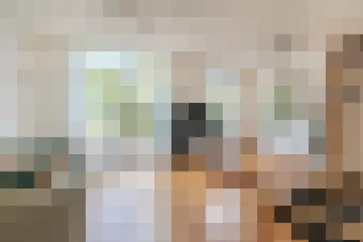 Laan van Tolkien 154 Geldrop thumbnail 7