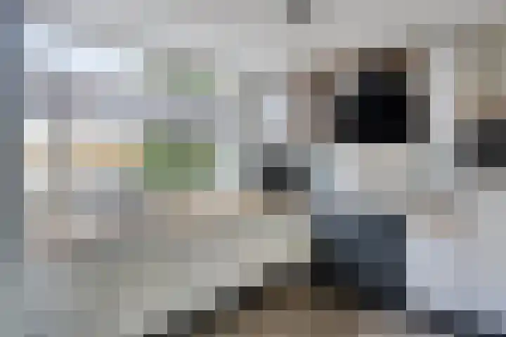Laan van Tolkien 184 Geldrop thumbnail 12