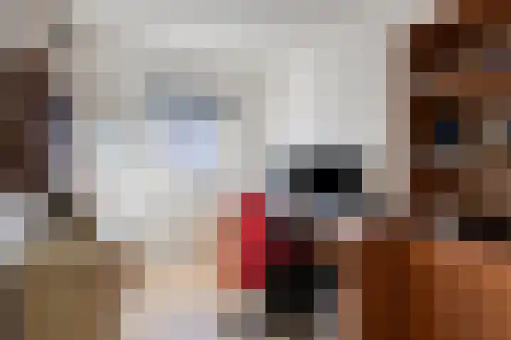 Laan van Tolkien 184 Geldrop thumbnail 23