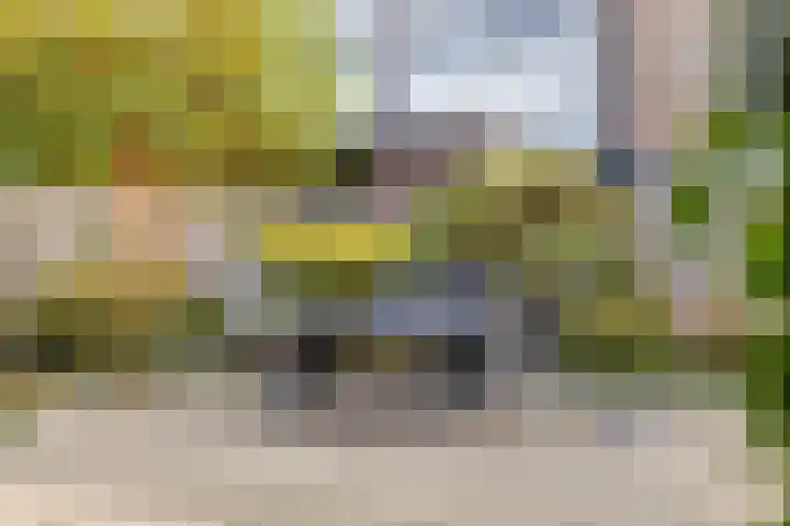Laan van Tolkien 184 Geldrop thumbnail 27
