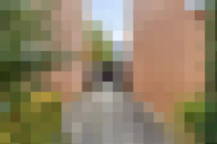 Laan van Tolkien 184 Geldrop thumbnail 30