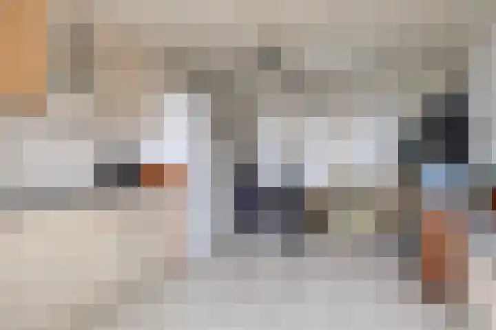Laan van Tolkien 184 Geldrop thumbnail 31