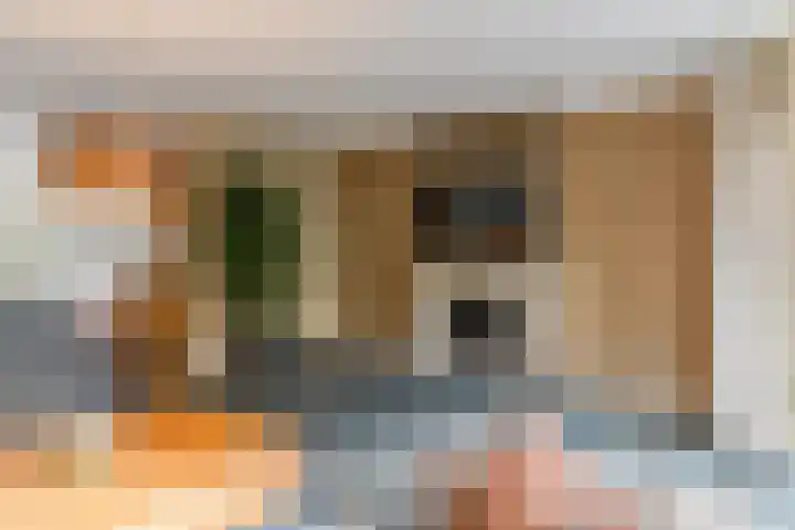 Laan van Tolkien 195 Geldrop thumbnail 10
