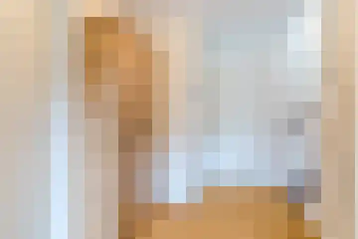 Laan van Tolkien 195 Geldrop thumbnail 18
