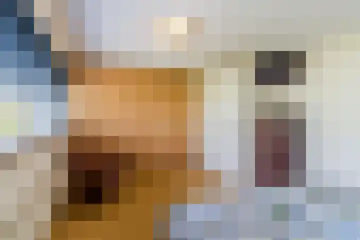 Laan van Tolkien 195 Geldrop thumbnail 21