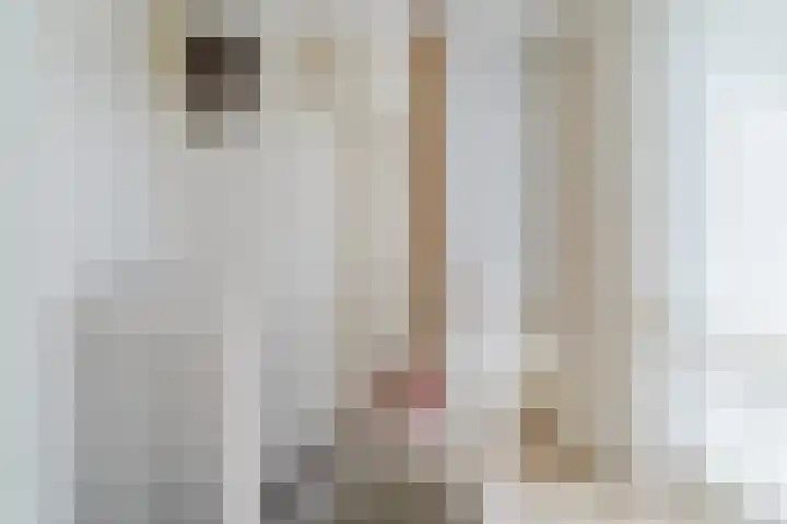 Laan van Tolkien 195 Geldrop thumbnail 30