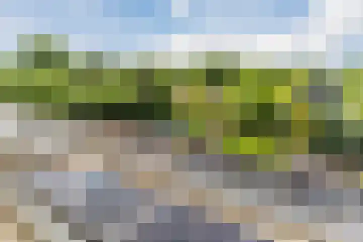 Laan van Tolkien 195 Geldrop thumbnail 36