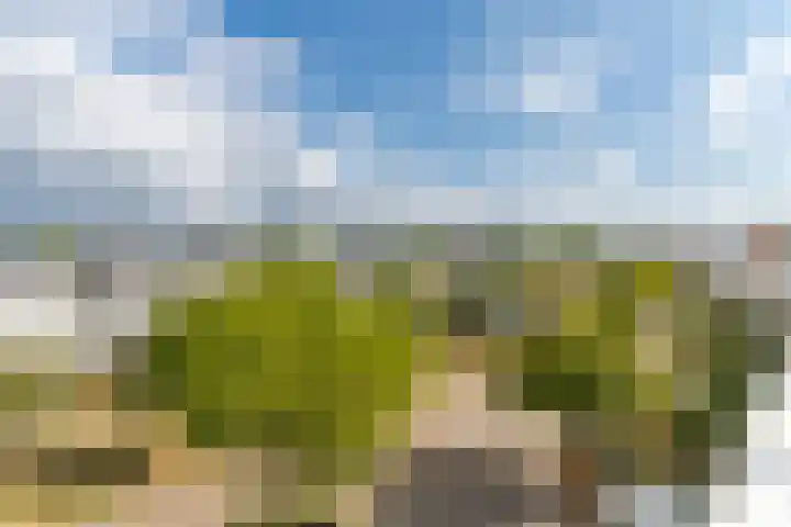 Laan van Tolkien 195 Geldrop thumbnail 37