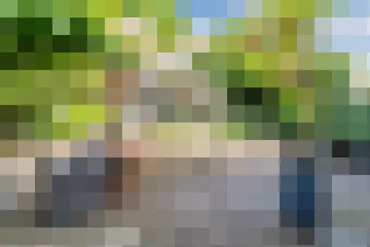 Laan van Tolkien 195 Geldrop thumbnail 39