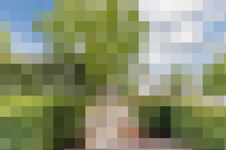 Laan van Tolkien 195 Geldrop thumbnail 4