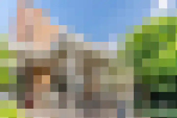 Laan van Tolkien 195 Geldrop thumbnail 40