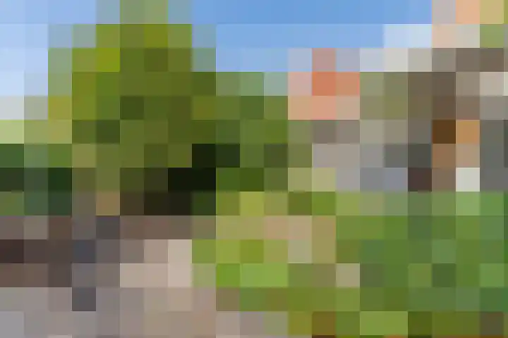 Laan van Tolkien 195 Geldrop thumbnail 41
