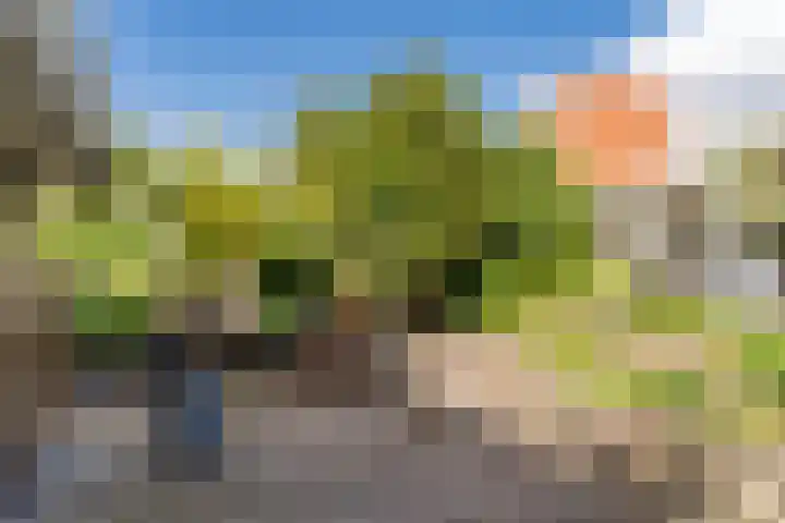 Laan van Tolkien 195 Geldrop thumbnail 43