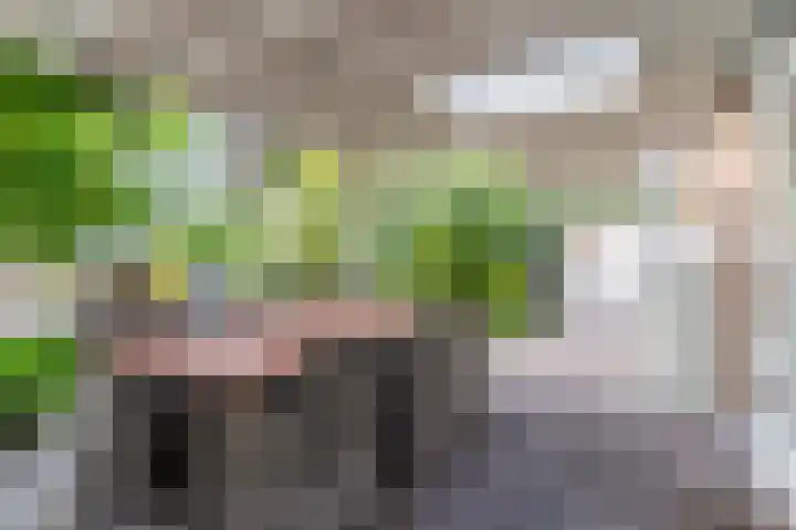 Laan van Tolkien 195 Geldrop thumbnail 47