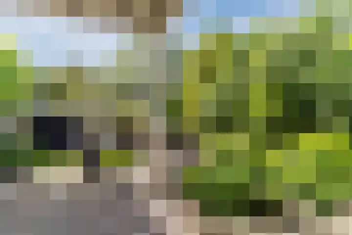 Laan van Tolkien 195 Geldrop thumbnail 48