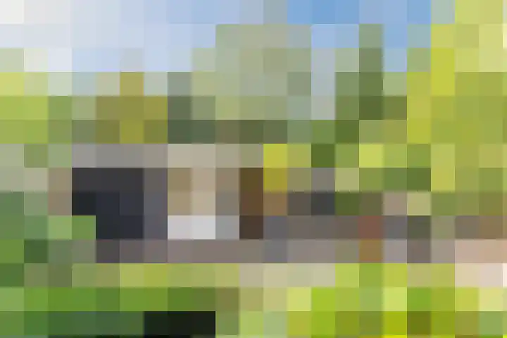 Laan van Tolkien 195 Geldrop thumbnail 49