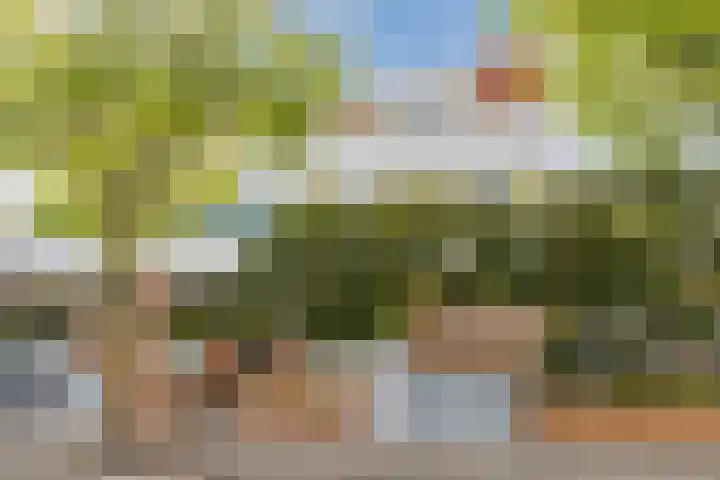 Laan van Tolkien 195 Geldrop thumbnail 56