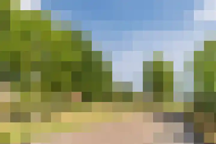 Laan van Tolkien 195 Geldrop thumbnail 60