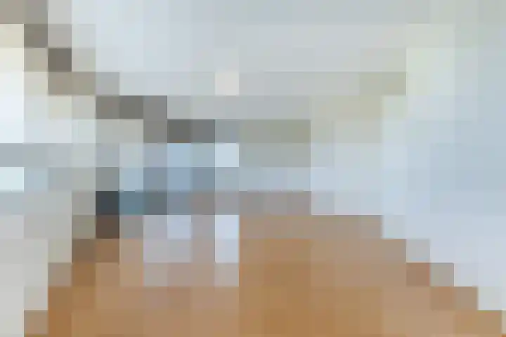 Laan van Tolkien 238 Geldrop thumbnail 10