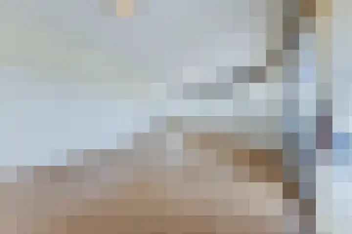 Laan van Tolkien 238 Geldrop thumbnail 12