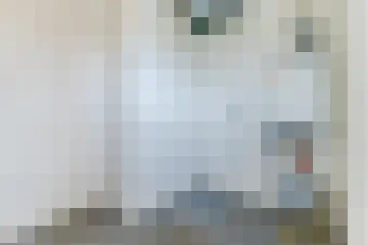 Laan van Tolkien 238 Geldrop thumbnail 16