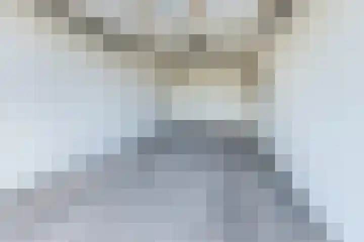 Laan van Tolkien 238 Geldrop thumbnail 33