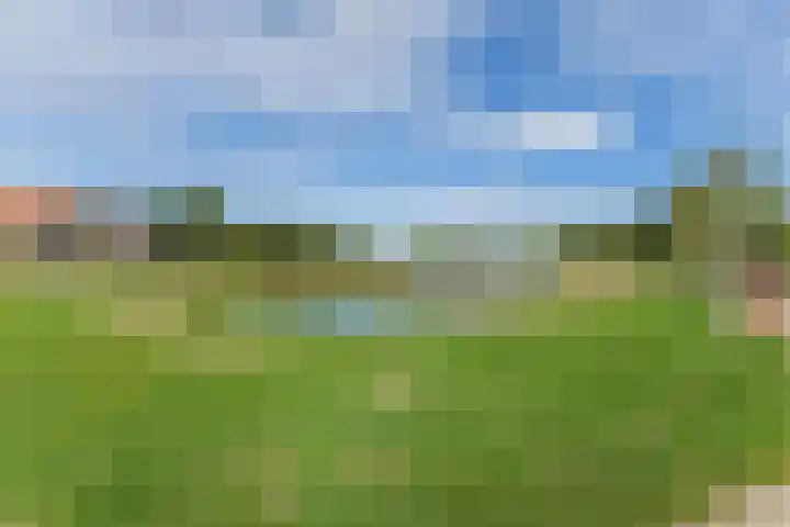 Laan van Tolkien 238 Geldrop thumbnail 38