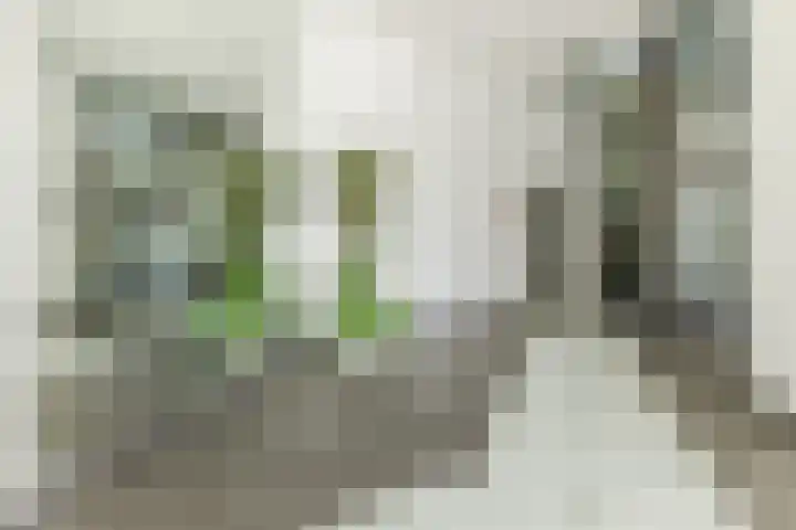 Laan van Tolkien 238 Geldrop thumbnail 4