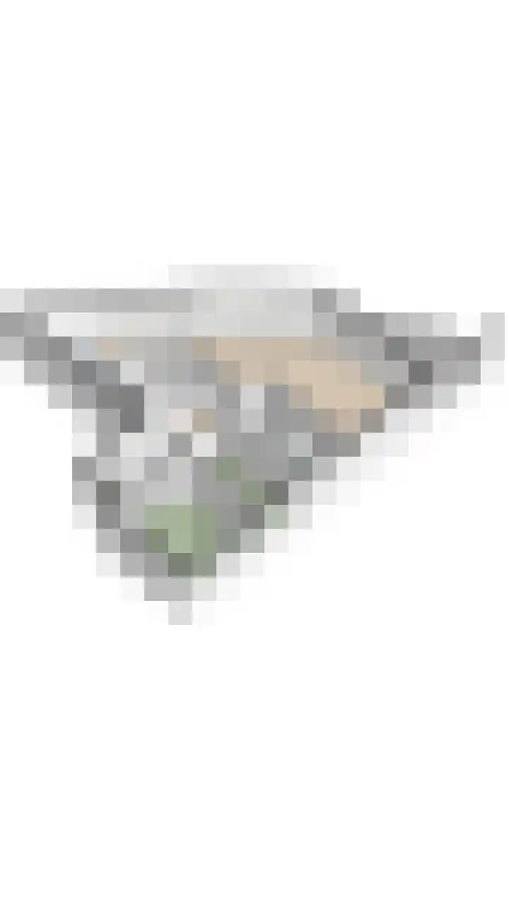 Laan van Tolkien 238 Geldrop thumbnail 41