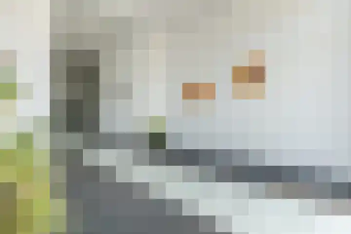 Laan van Tolkien 238 Geldrop thumbnail 5