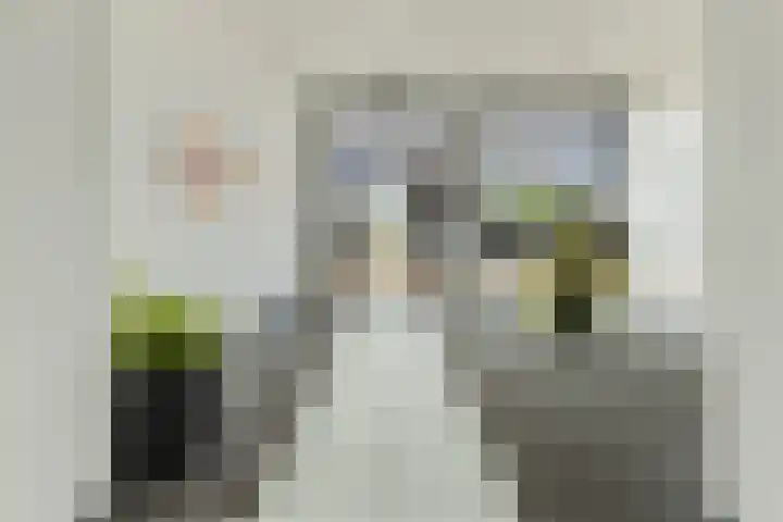 Laan van Tolkien 238 Geldrop thumbnail 6