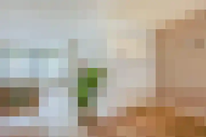 Laan van Tolkien 66 Geldrop thumbnail 12