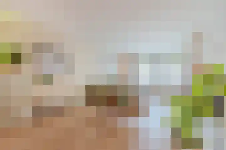 Laan van Tolkien 66 Geldrop thumbnail 13