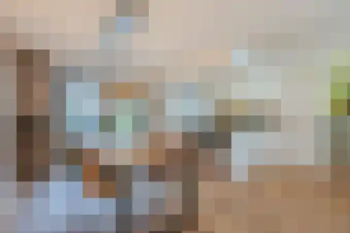 Laan van Tolkien 66 Geldrop thumbnail 14