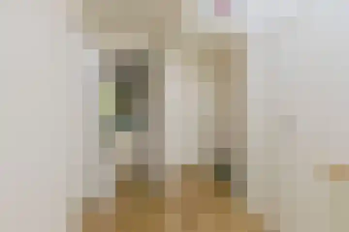 Laan van Tolkien 66 Geldrop thumbnail 17