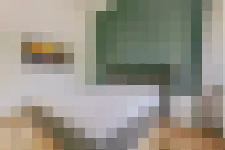 Laan van Tolkien 66 Geldrop thumbnail 20
