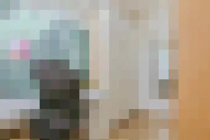 Laan van Tolkien 66 Geldrop thumbnail 22