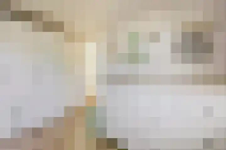 Laan van Tolkien 66 Geldrop thumbnail 27