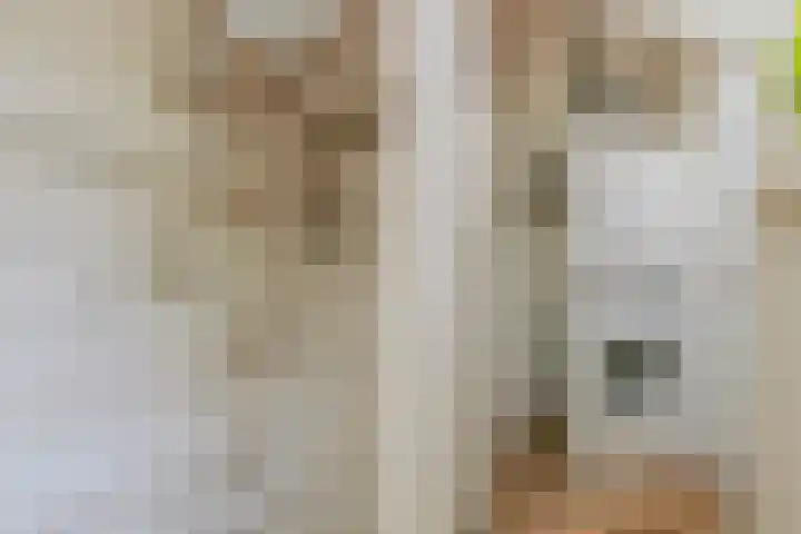 Laan van Tolkien 66 Geldrop thumbnail 35
