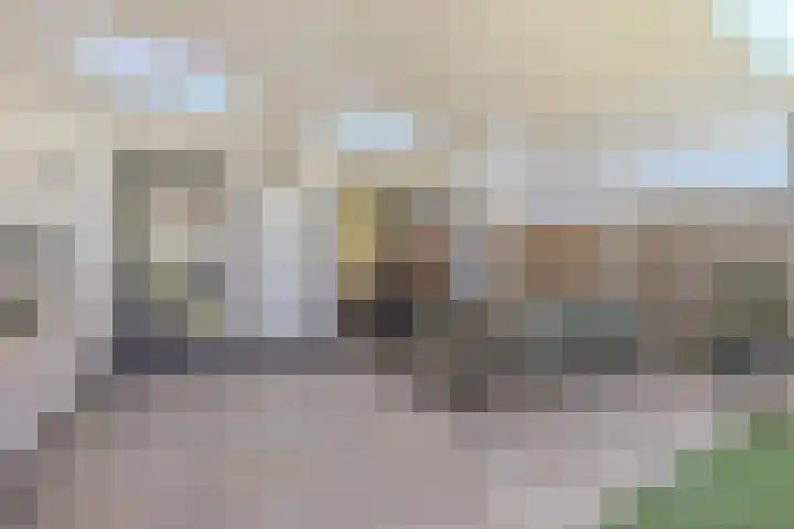 Laan van Tolkien 66 Geldrop thumbnail 38