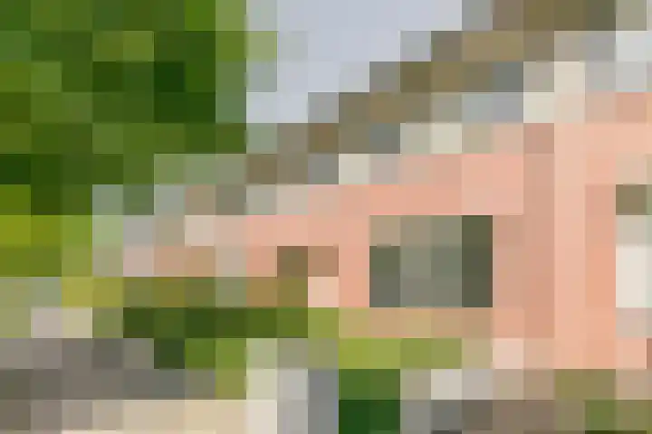 Laan van Tolkien 66 Geldrop thumbnail 41