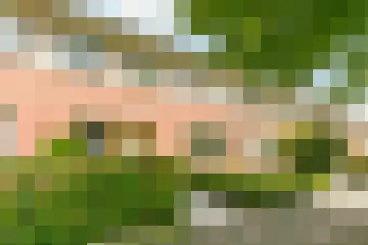 Laan van Tolkien 66 Geldrop thumbnail 5