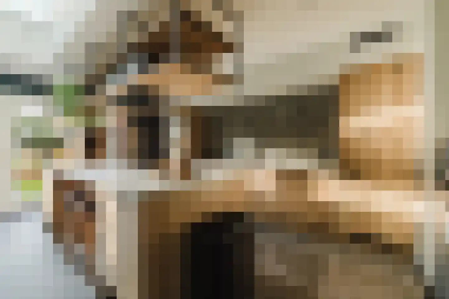 Laan van Tongerlo 34 Alphen thumbnail 19