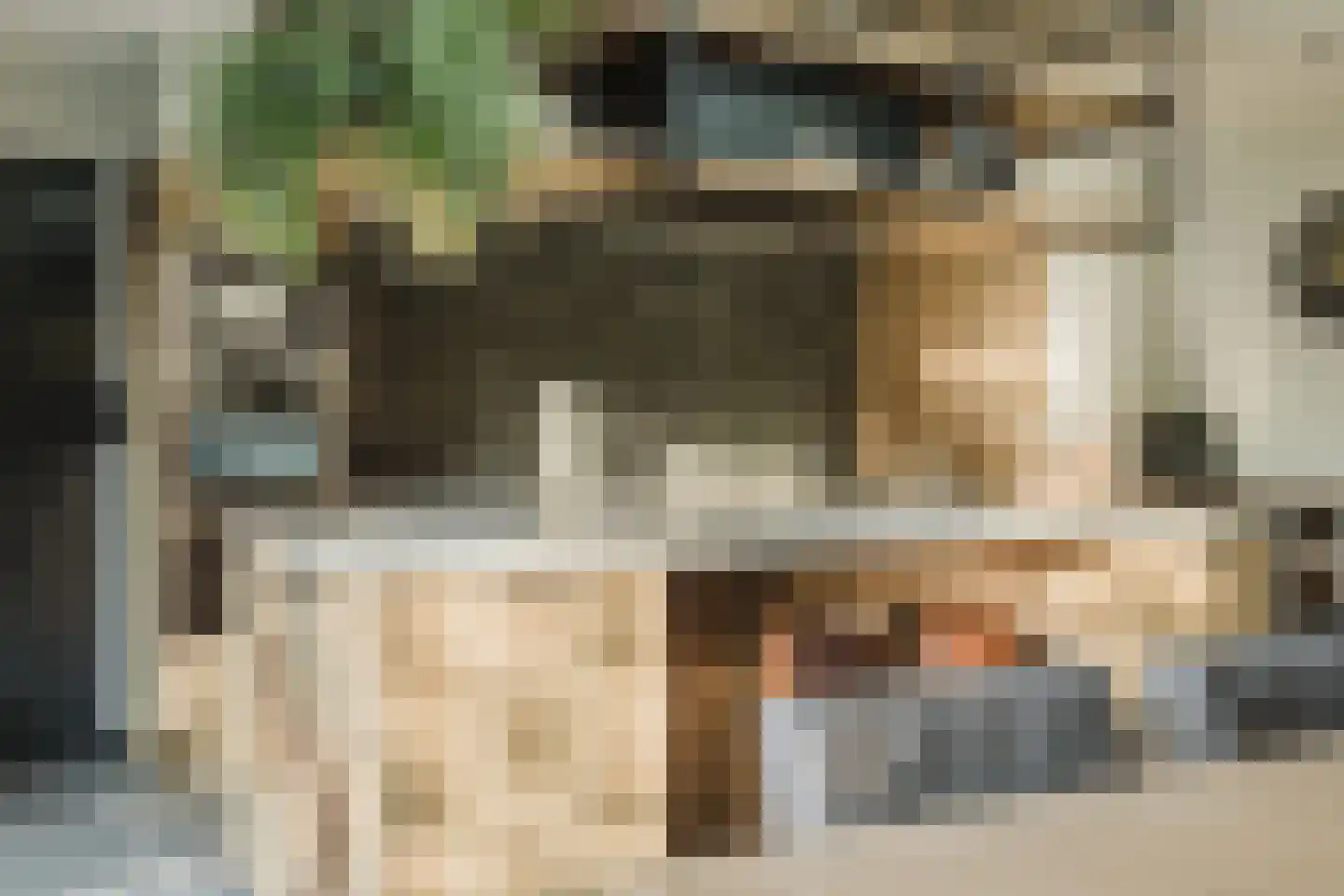 Laan van Tongerlo 34 Alphen thumbnail 23