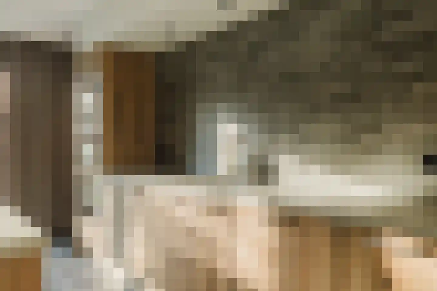 Laan van Tongerlo 34 Alphen thumbnail 24