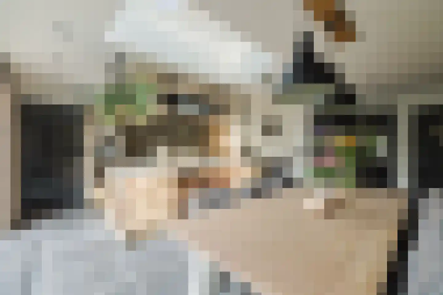 Laan van Tongerlo 34 Alphen foto 3